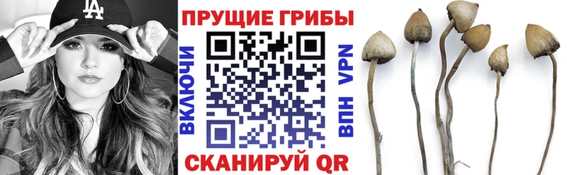 hydra ONION  Шахты  Псилоцибиновые грибы мухоморы 